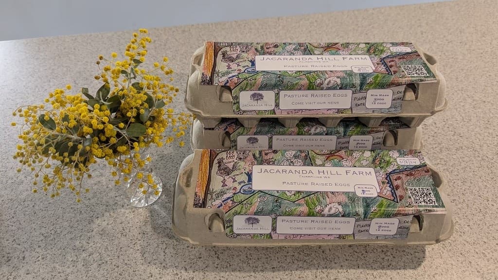 Jacaranda Hill Farm pasture-raised egg cartons with hand-drawn farm artwork beside a vase of wattle